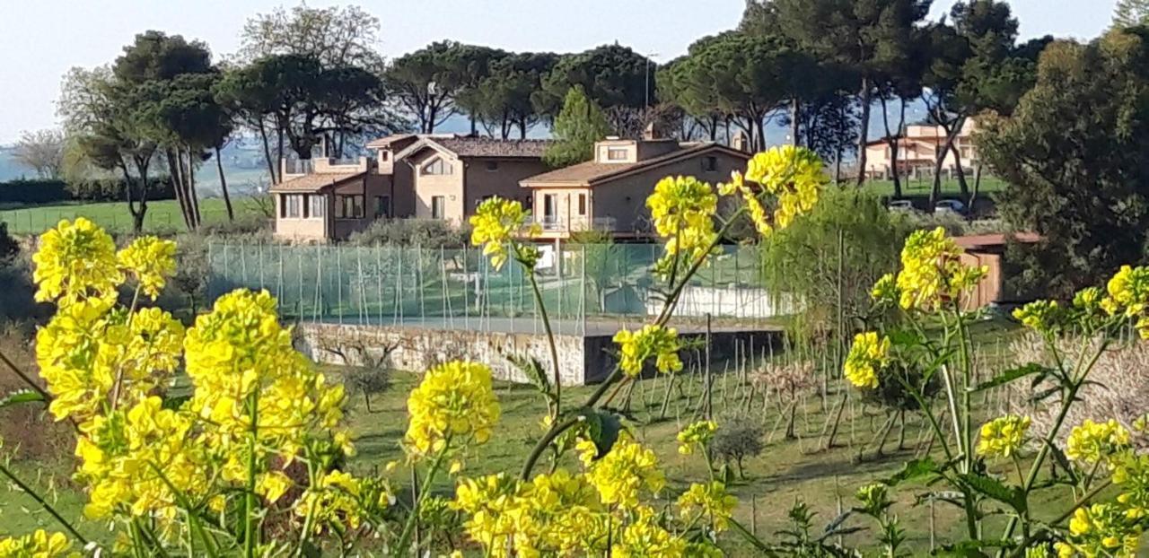 La Casa Nella Prateria *